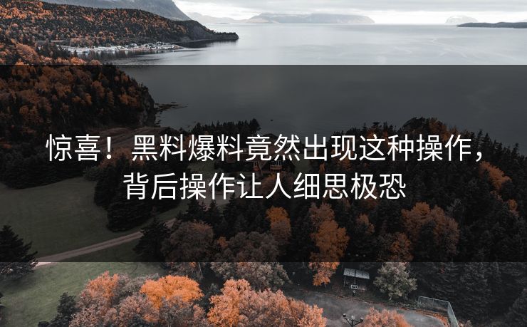 惊喜！黑料爆料竟然出现这种操作，背后操作让人细思极恐