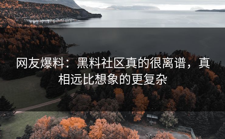 网友爆料：黑料社区真的很离谱，真相远比想象的更复杂