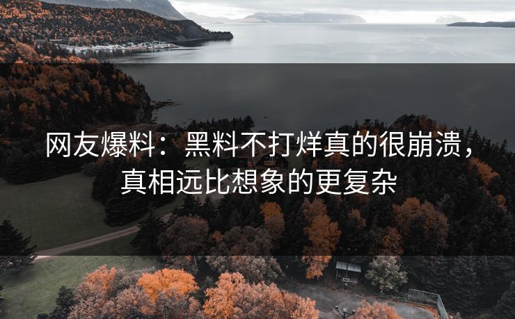 网友爆料：黑料不打烊真的很崩溃，真相远比想象的更复杂