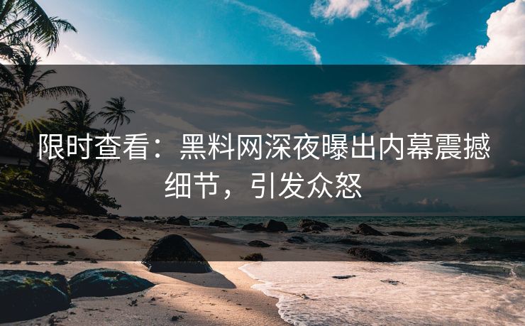 限时查看：黑料网深夜曝出内幕震撼细节，引发众怒