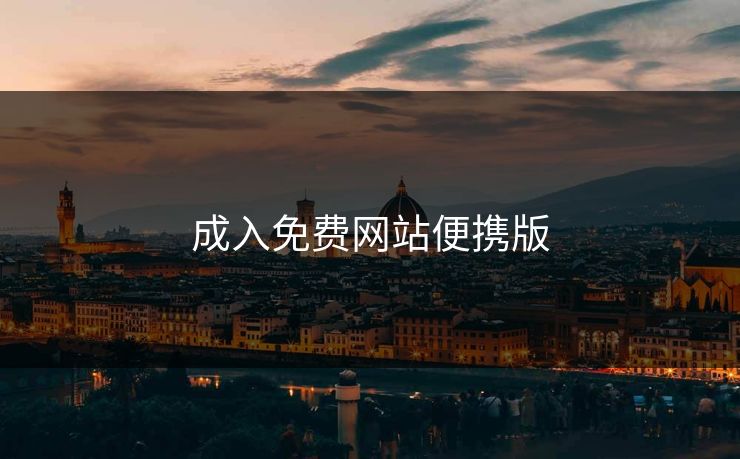 成入免费网站便携版