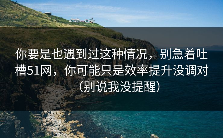 你要是也遇到过这种情况，别急着吐槽51网，你可能只是效率提升没调对（别说我没提醒）