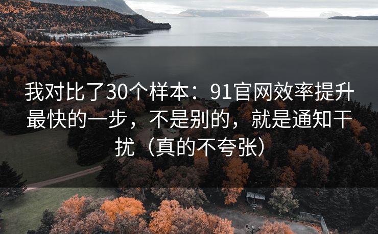我对比了30个样本：91官网效率提升最快的一步，不是别的，就是通知干扰（真的不夸张）